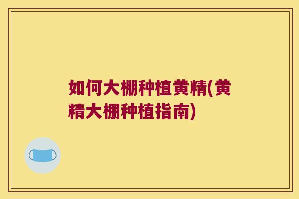 如何大棚种植黄精(黄精大棚种植指南)