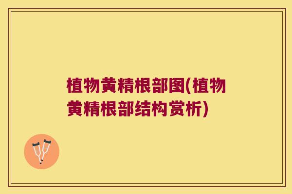 植物黄精根部图(植物黄精根部结构赏析)