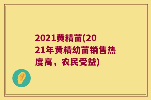 2021黄精苗(2021年黄精幼苗销售热度高,农民受益) 2021黄精苗(2021年黄精幼苗销售热度高,农民受益)