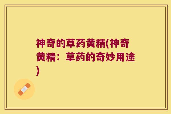 神奇的草药黄精(神奇黄精：草药的奇妙用途)