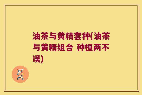 油茶与黄精套种(油茶与黄精组合 种植两不误)