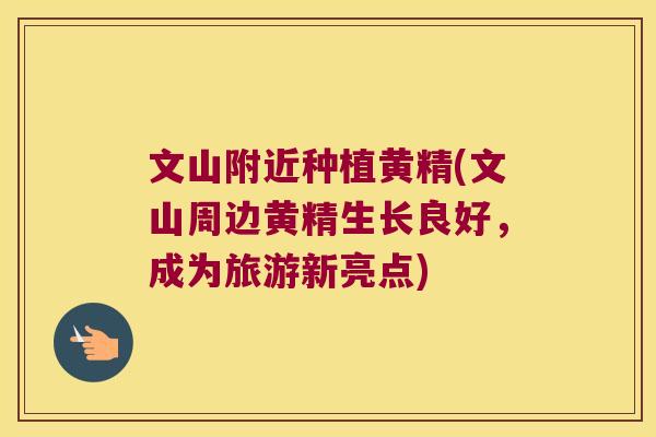 文山附近种植黄精(文山周边黄精生长良好,成为旅游新亮点) 文山附近种植黄精(文山周边黄精生长良好,成为旅游新亮点)