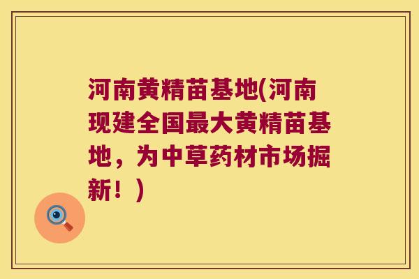 河南黄精苗基地(河南现建全国大黄精苗基地，为中草药材市场掘新！)