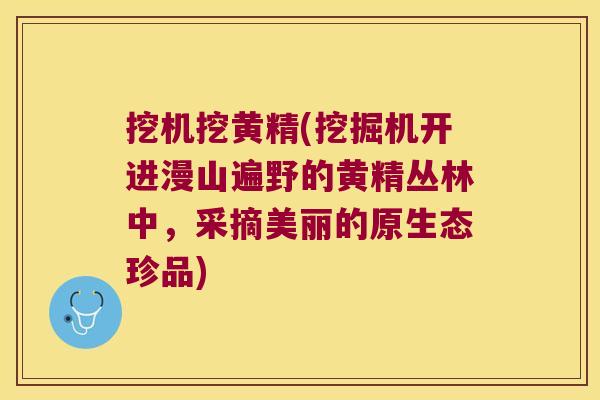 挖机挖黄精(挖掘机开进漫山遍野的黄精丛林中，采摘美丽的原生态珍品)