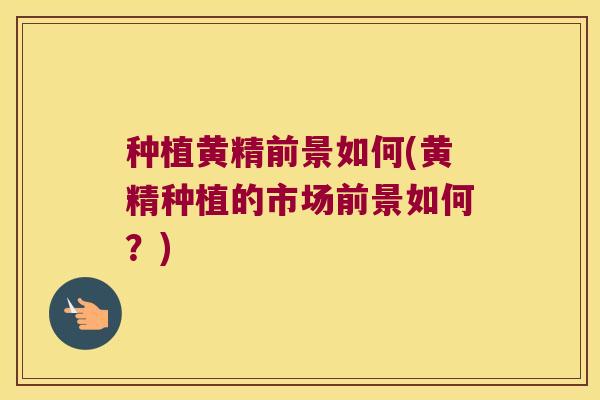 种植黄精前景如何(黄精种植的市场前景如何？)