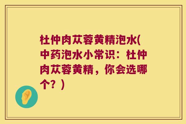 杜仲肉苁蓉黄精泡水(泡水小常识:杜仲肉苁蓉黄精,你会选哪个?) 杜仲肉苁蓉黄精泡水(泡水小常识:杜仲肉苁蓉黄精,你会选哪个?)