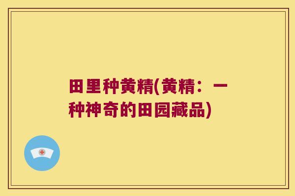 田里种黄精(黄精:一种神奇的田园藏品) 田里种黄精(黄精:一种神奇的田园藏品)