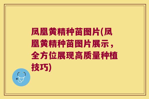 凤凰黄精种苗图片(凤凰黄精种苗图片展示，全方位展现高质量种植技巧)
