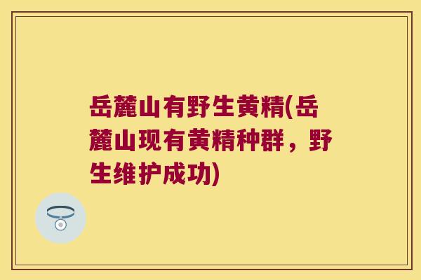 岳麓山有野生黄精(岳麓山现有黄精种群，野生维护成功)