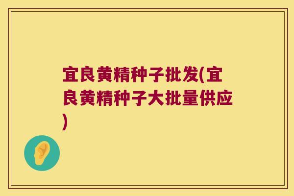宜良黄精种子批发(宜良黄精种子大批量供应) 宜良黄精种子批发(宜良黄精种子大批量供应)