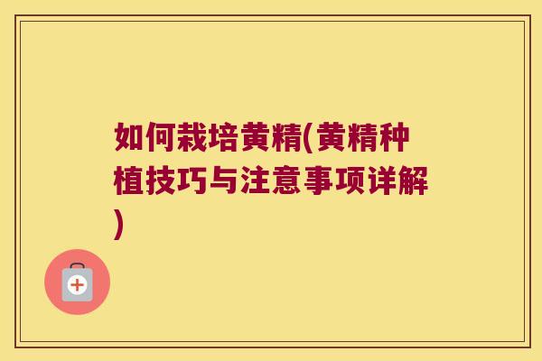 如何栽培黄精(黄精种植技巧与注意事项详解)