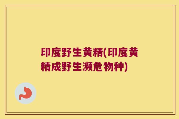 印度野生黄精(印度黄精成野生濒危物种) 印度野生黄精(印度黄精成野生濒危物种)