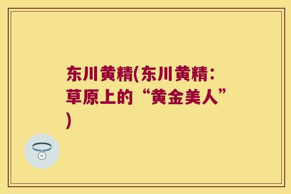 东川黄精(东川黄精:草原上的“黄金美人”) 东川黄精(东川黄精:草原上的“黄金美人”)