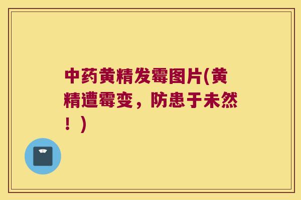 黄精发霉图片(黄精遭霉变，防患于未然！)