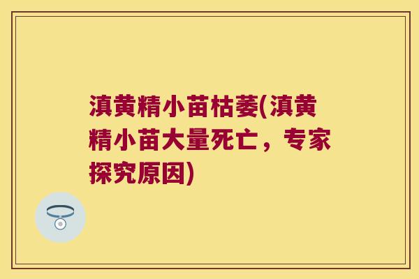 滇黄精小苗枯萎(滇黄精小苗大量死亡，专家探究原因)