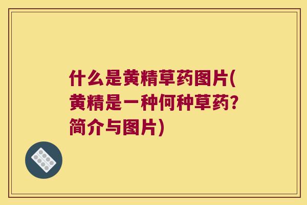什么是黄精草药图片(黄精是一种何种草药？简介与图片)