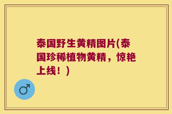 泰国野生黄精图片(泰国珍稀植物黄精，惊艳上线！)