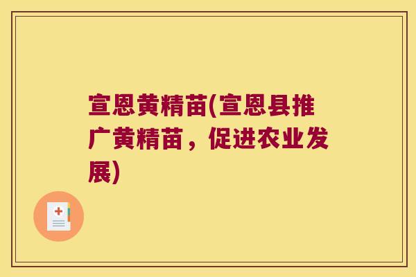 宣恩黄精苗(宣恩县推广黄精苗,促进农业发展) 宣恩黄精苗(宣恩县推广黄精苗,促进农业发展)