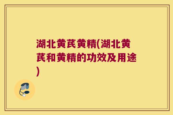 湖北黄芪黄精(湖北黄芪和黄精的功效及用途) 湖北黄芪黄精(湖北黄芪和黄精的功效及用途)