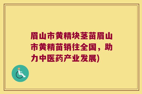 眉山市黄精块茎苗眉山市黄精苗销往全国,助力中医药产业发展) 眉山市黄精块茎苗眉山市黄精苗销往全国,助力中医药产业发展)