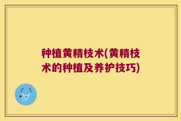 种植黄精枝术(黄精枝术的种植及养护技巧)