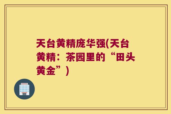天台黄精庞华强(天台黄精：茶园里的“田头黄金”)