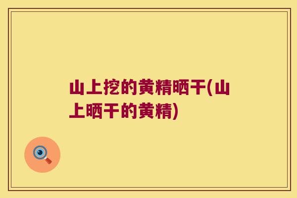 山上挖的黄精晒干(山上晒干的黄精) 山上挖的黄精晒干(山上晒干的黄精)