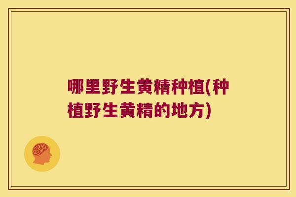 哪里野生黄精种植(种植野生黄精的地方)