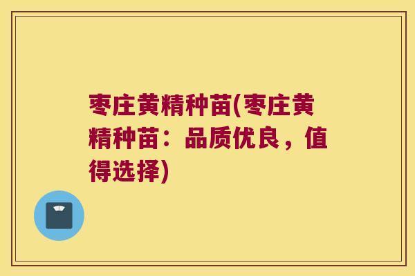 枣庄黄精种苗(枣庄黄精种苗:品质优良,值得选择) 枣庄黄精种苗(枣庄黄精种苗:品质优良,值得选择)