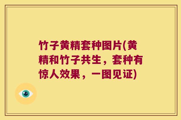 竹子黄精套种图片(黄精和竹子共生，套种有惊人效果，一图见证)