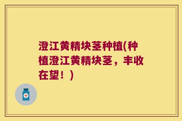 澄江黄精块茎种植(种植澄江黄精块茎，丰收在望！)