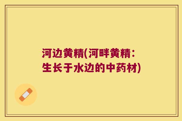 河边黄精(河畔黄精：生长于水边的材)
