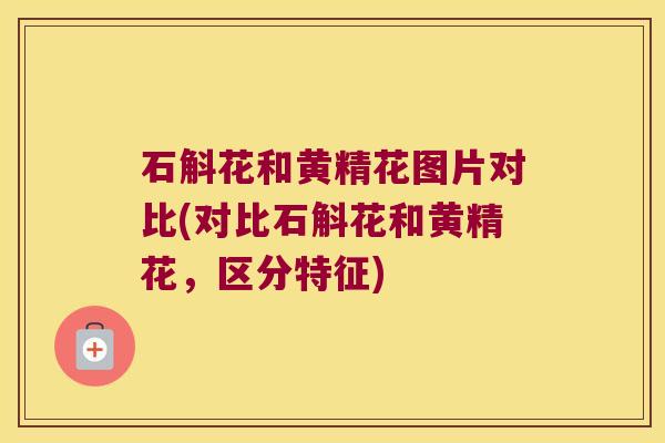 石斛花和黄精花图片对比(对比石斛花和黄精花，区分特征)