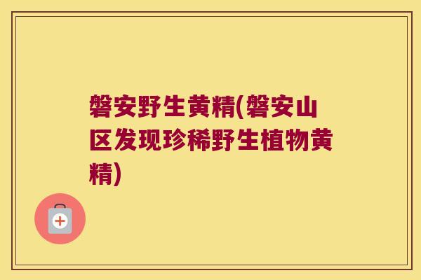 磐安野生黄精(磐安山区发现珍稀野生植物黄精)