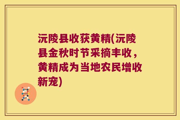 沅陵县收获黄精(沅陵县金秋时节采摘丰收，黄精成为当地农民增收新宠)