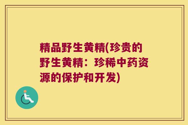 精品野生黄精(珍贵的野生黄精：珍稀资源的保护和开发)