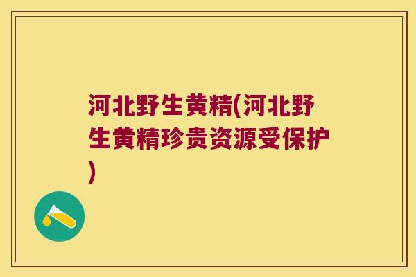 河北野生黄精(河北野生黄精珍贵资源受保护)