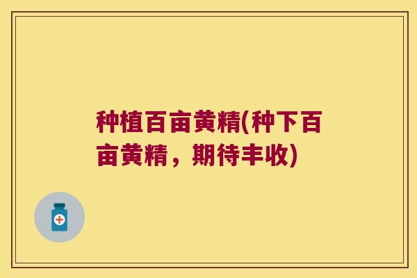 种植百亩黄精(种下百亩黄精,期待丰收) 种植百亩黄精(种下百亩黄精,期待丰收)