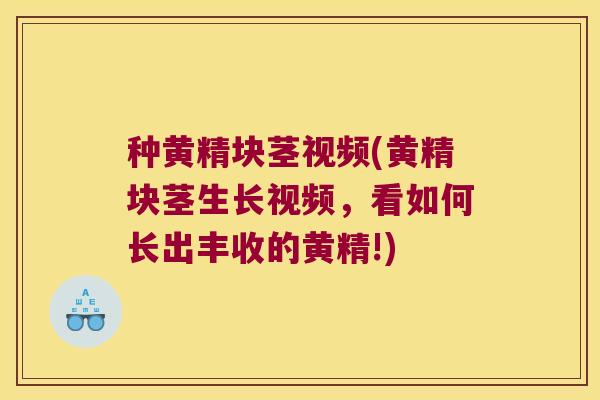 种黄精块茎视频(黄精块茎生长视频,看如何长出丰收的黄精!) 种黄精块茎视频(黄精块茎生长视频,看如何长出丰收的黄精!)