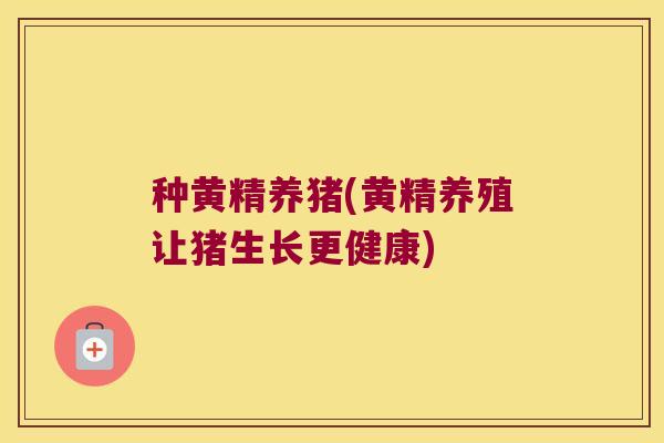 种黄精养猪(黄精养殖让猪生长更健康)