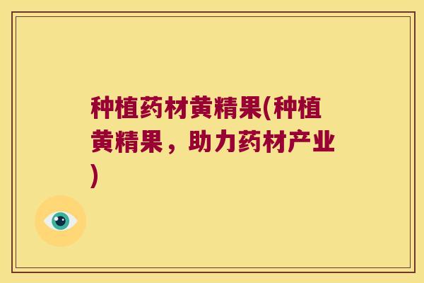 种植药材黄精果(种植黄精果,助力药材产业) 种植药材黄精果(种植黄精果,助力药材产业)