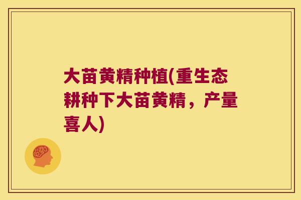 大苗黄精种植(重生态耕种下大苗黄精,产量喜人) 大苗黄精种植(重生态耕种下大苗黄精,产量喜人)