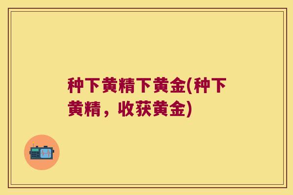 种下黄精下黄金(种下黄精，收获黄金)