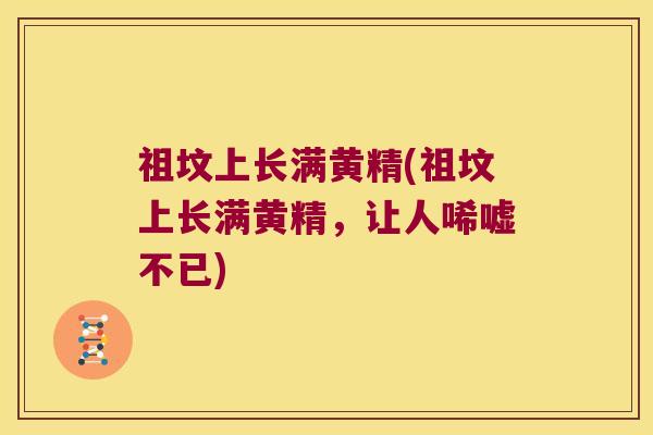 祖坟上长满黄精(祖坟上长满黄精,让人唏嘘不已) 祖坟上长满黄精(祖坟上长满黄精,让人唏嘘不已)