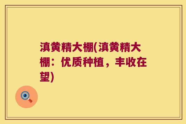 滇黄精大棚(滇黄精大棚：优质种植，丰收在望)