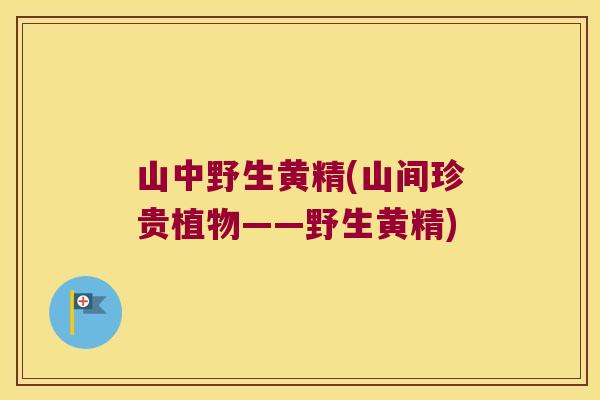 山中野生黄精(山间珍贵植物——野生黄精) 山中野生黄精(山间珍贵植物——野生黄精)