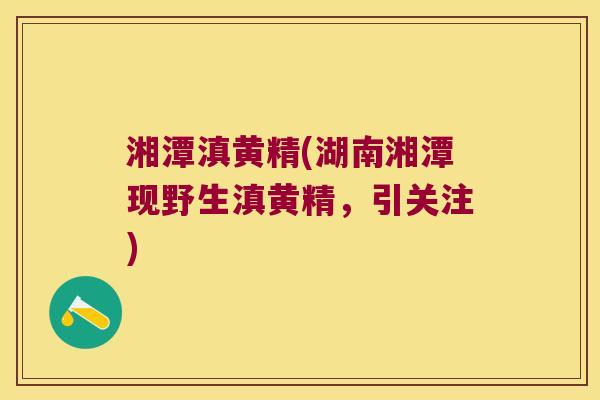 湘潭滇黄精(湖南湘潭现野生滇黄精,引关注) 湘潭滇黄精(湖南湘潭现野生滇黄精,引关注)
