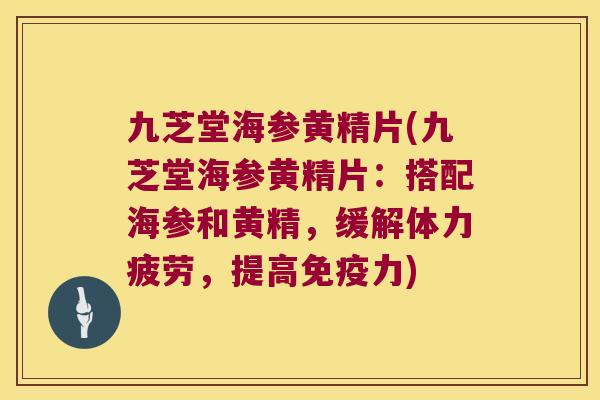 九芝堂海参黄精片(九芝堂海参黄精片：搭配海参和黄精，缓解体力疲劳，提高力)