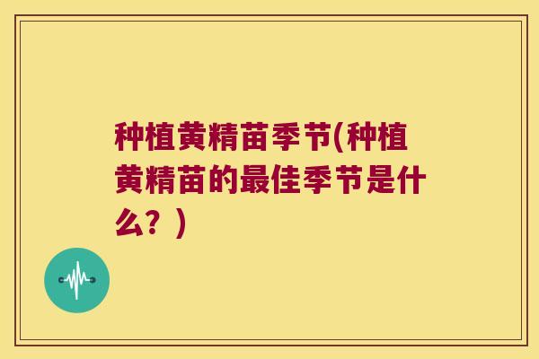 种植黄精苗季节(种植黄精苗的佳季节是什么？)