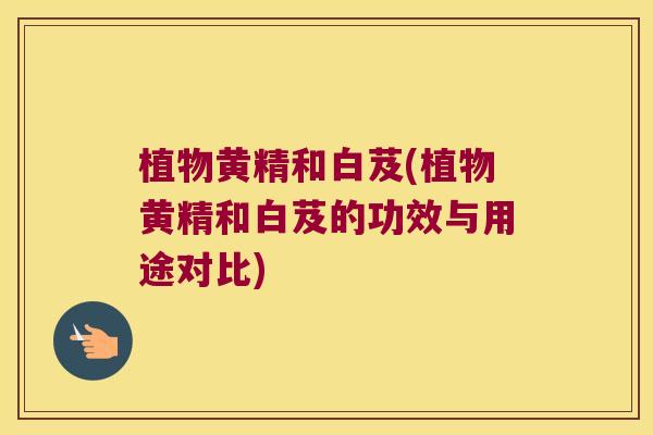 植物黄精和白芨(植物黄精和白芨的功效与用途对比) 植物黄精和白芨(植物黄精和白芨的功效与用途对比)